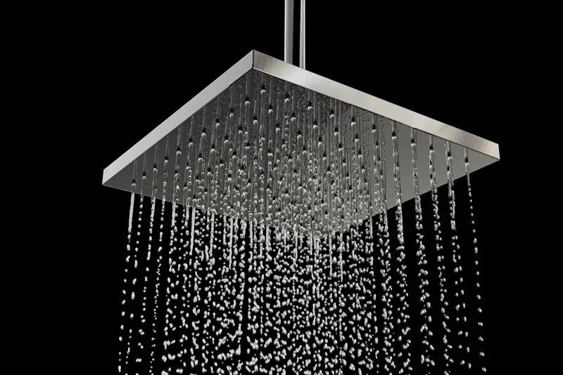shower head